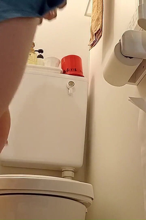 Toiletvideo på et hotel