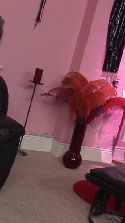 Sex Shop Threesome with Big Tits Tight Pussy Fishnet Wearing | Clip 2