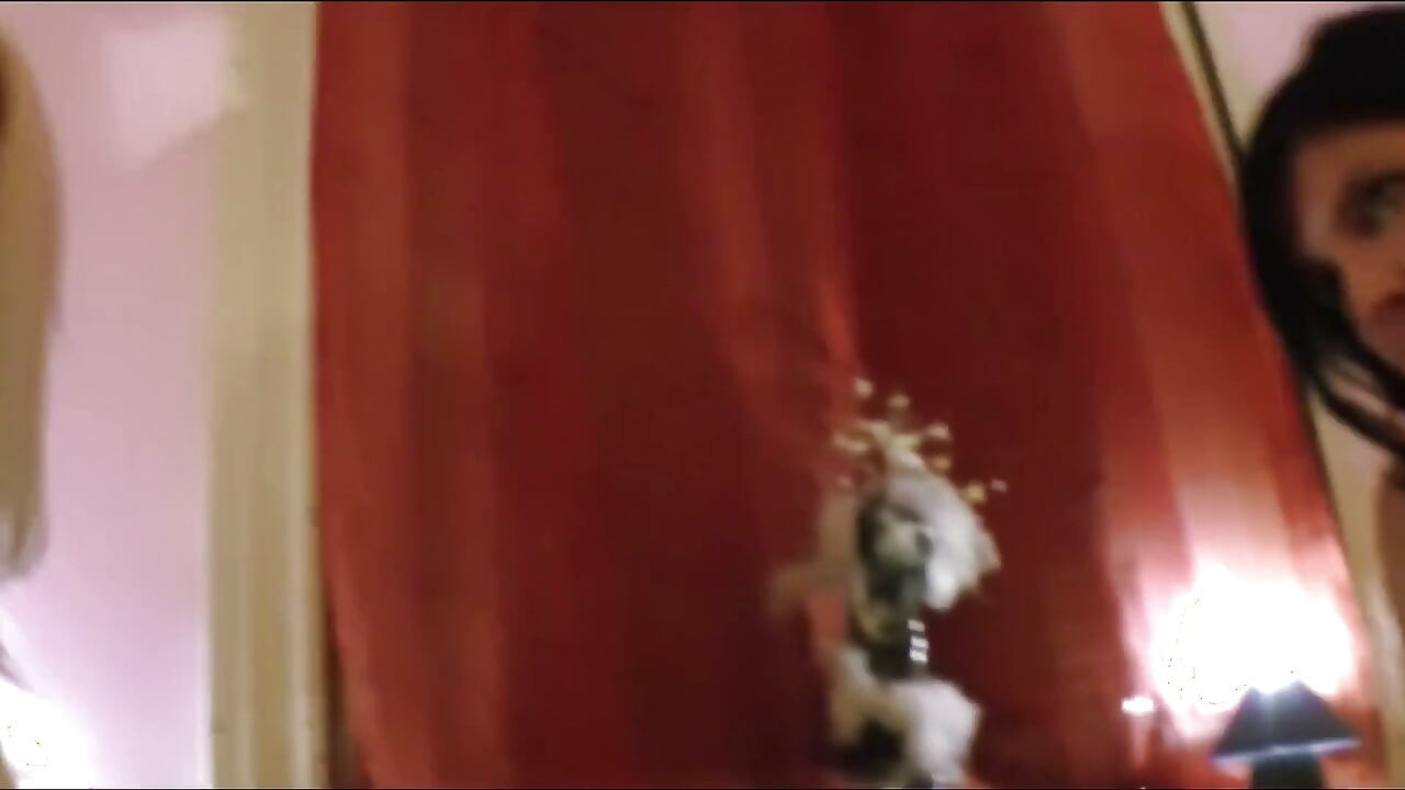 TVå Pumor Överraskar En Fan
