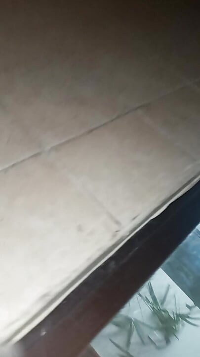 女僕洗碗時被操 - 第4部分