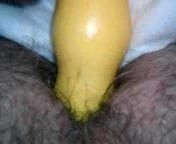 Anal