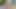 Anastasia Rose Tiny Tattoo Brunette College Girl Gagging BJ Passion!