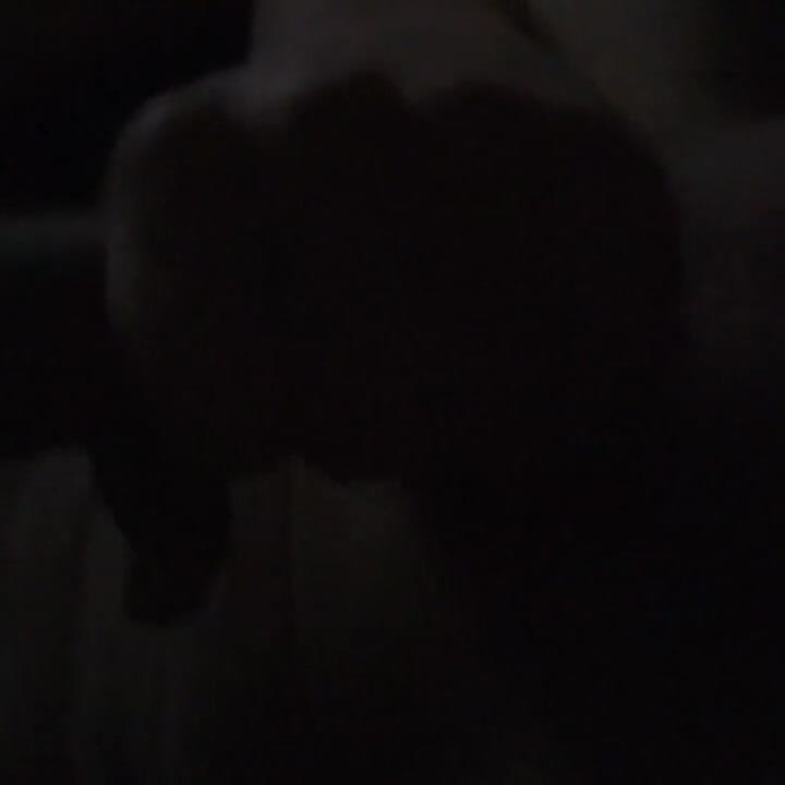 Urinating Fetish Fanclub Video of the Month (ffvotm); Bonus Video May 2021