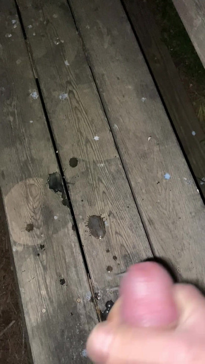 Svrši u javnu banku