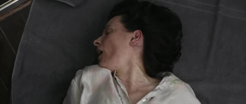 Juliette Binoche Elles