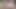 Tricia Oaks teaser 1