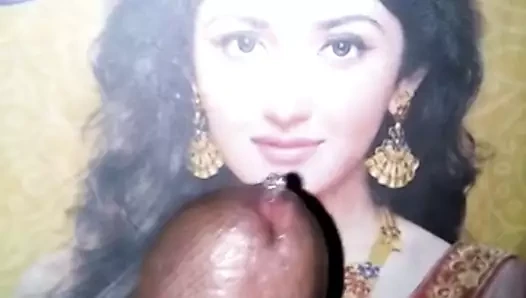 Sayyeshaa saigal zevk