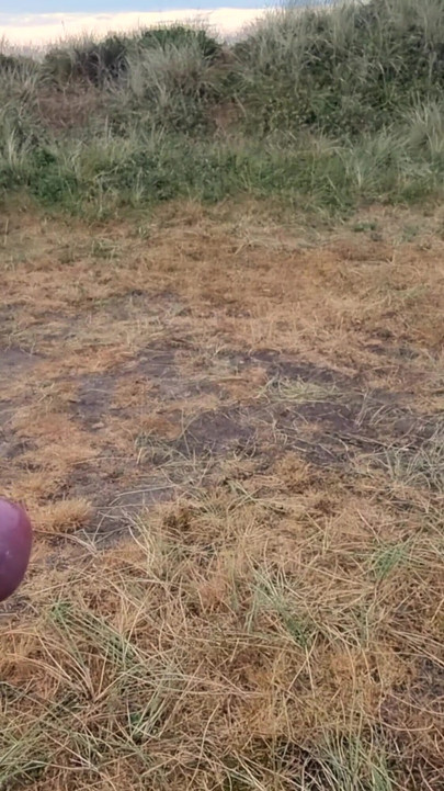 Emotional moment from "Morning Cumshot in Dansk Dunes"