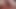 Anissa kate, patty michova, valentina ricci, kai taylor