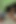 Cute Asian babe wants your cock: POV fuck