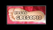 Pregled videozapisa