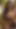 Spectacular moment from "Indian beautiful girl with big boobs (Ai model)"