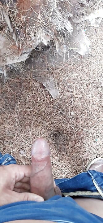 Pee in the park with my whole cock