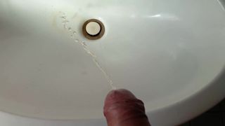 Peeing in a friends sink