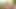 Blonde Seeks BBC Cocks for Her First Time in Interracial Sex. Andrea Blonde, the Most Vicious of Fakings Black Fix