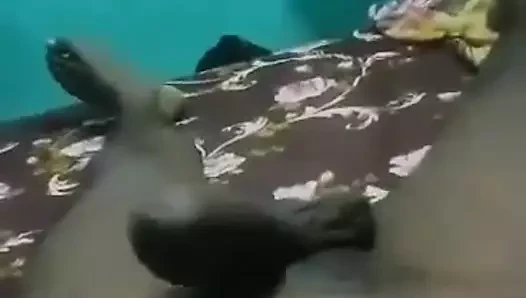 Büyük yarağımı boşalt