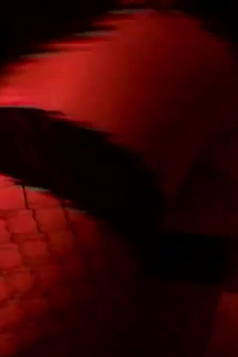 She Needs to Be Fucked!!! - Vol. 01