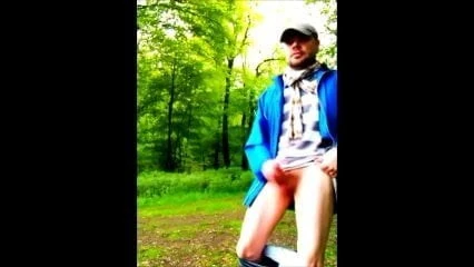 im wald