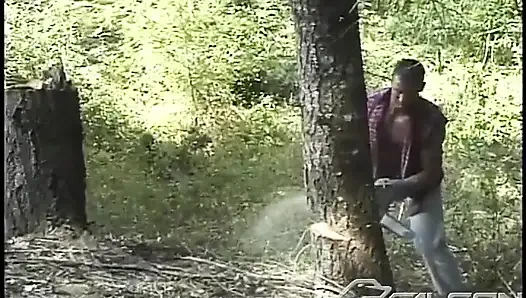 Lumberjacked: Crimes Against Nature