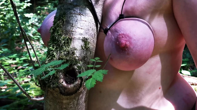 Tie my tits on a tree and punish me