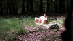 Pregled videozapisa
