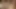POV Nahaufnahme: Edging deinen harten schwanz in Slow Motion, ASMR - TAKE ME SLO
