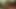 film penuh desi india padosi bhabhi diya ki jamkar thukai