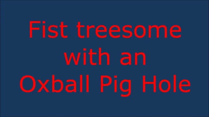 Pig Hole Tree Some