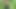 Had sex with full me by going to dense forest on high hill