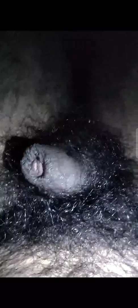 My dick is hungry for pussy