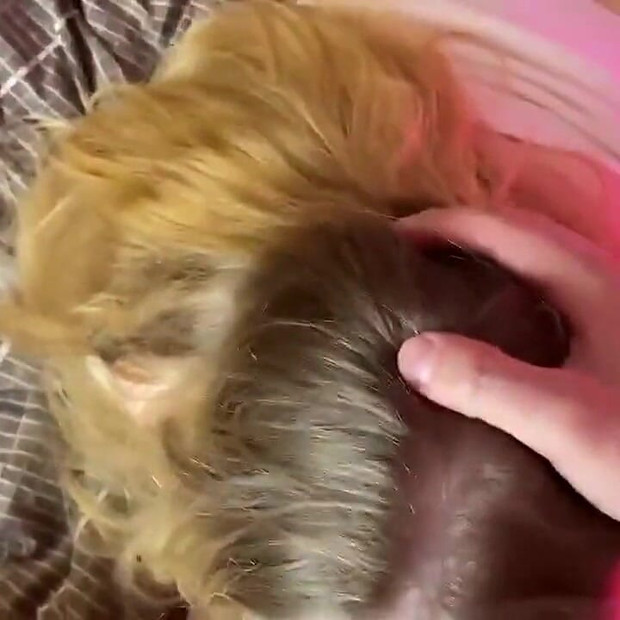 Pov_ jebem svoju ženu kod kuće