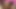 Seksi çoraplı sarışın piliç bu yarağı arkadan almak için eğiliyor