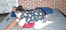 Pregled videozapisa