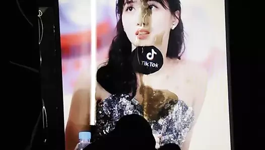 momo cumtribute 9