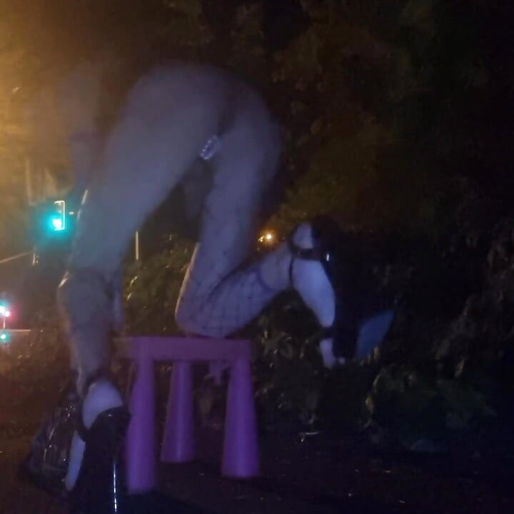A Whore in a Mini-skirt Ras Du Cul, on the Edge of the Nationale 7 in Brunoy. 2h00 Vanessabitchx Parischiennetrvprod