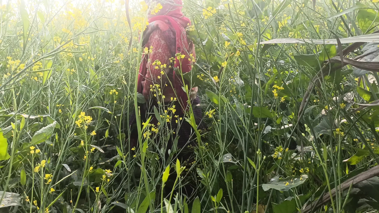 First time jungal me mangal xxx video