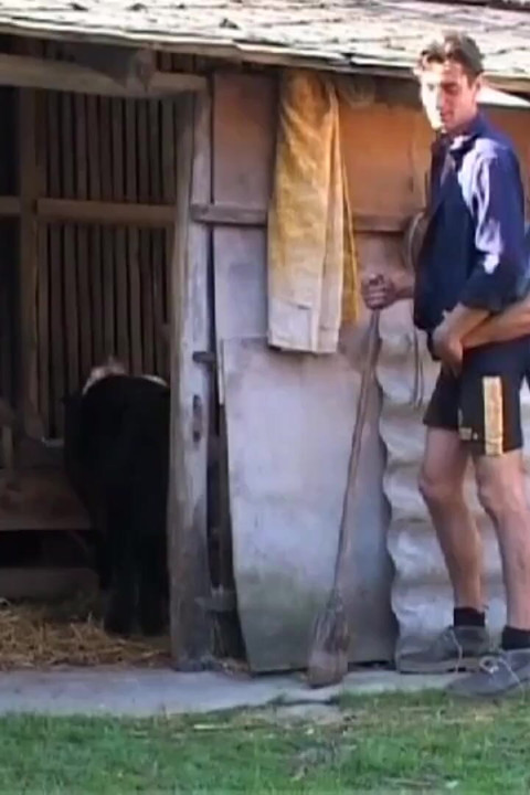 70 Years of Cocks in the Ass
