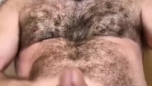 Urso barbudo peludo masturbando