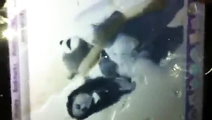 pandagirl18