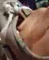 Pregled videozapisa