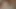 Ich habe versehentlich meine stiefmutter gebucht, warum hat sie nicht verlassen? Ihre reife behaarte MILF-muschi triefte bei dem gedanken, mich zu ficken