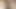 الجنس العرضي