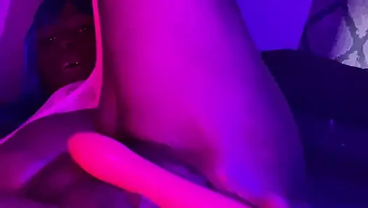 I Love My Pussy