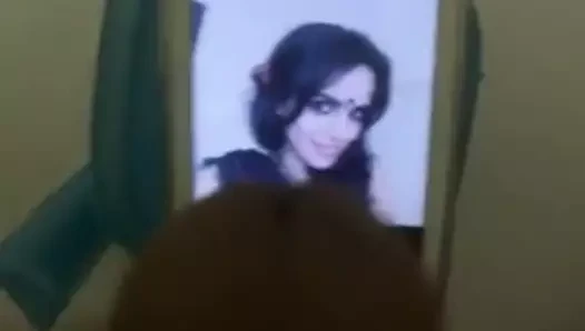 Marathi seri aktris twinks