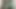 緑に身を包んだ
