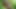 Kudoslong is outside in the woods he strips off all his clothing and wanks till he cums