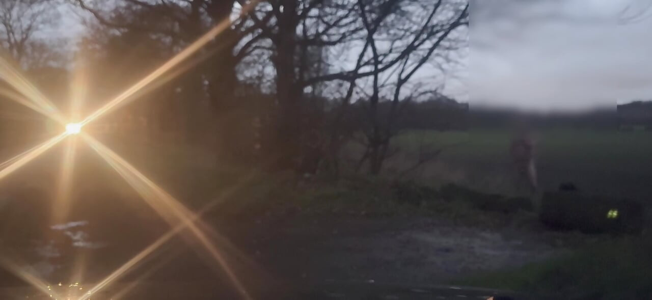 裸足で通り過ぎる車から隠れて、オナニーやトゥワークをしている