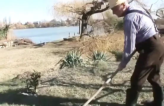 Old lovers in Budapest…
