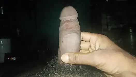 Mast Mota arazisi