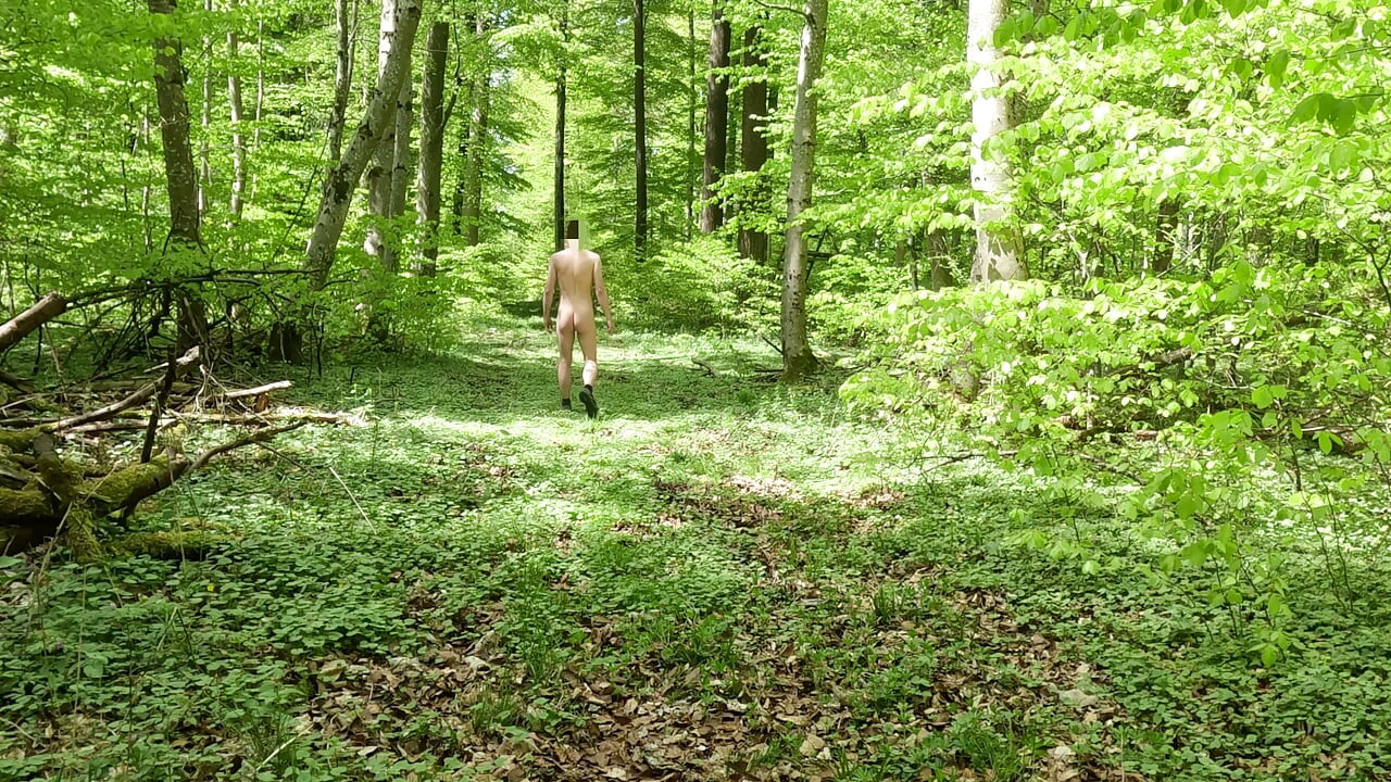Nude walk in the woods, wanking and huge cumshot